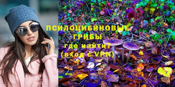 apvp Ступино