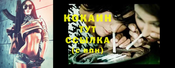 ГАЛЛЮЦИНОГЕННЫЕ ГРИБЫ Апатиты