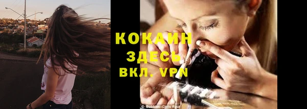ГАЛЛЮЦИНОГЕННЫЕ ГРИБЫ Апатиты