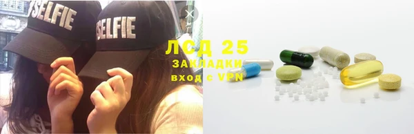 ГАЛЛЮЦИНОГЕННЫЕ ГРИБЫ Апатиты