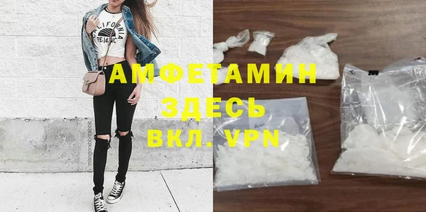 индика Анива