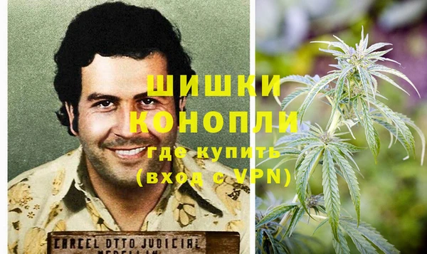 apvp Ступино