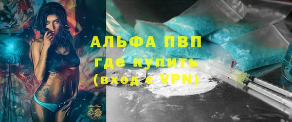 индика Анива