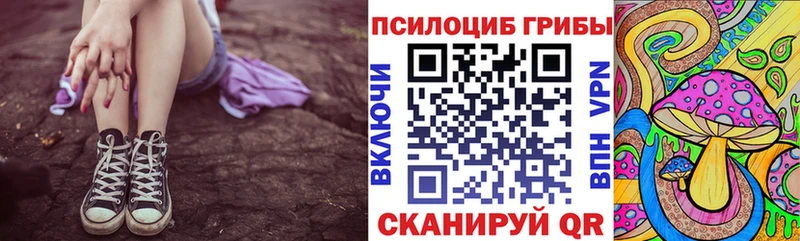 Псилоцибиновые грибы мицелий  MEGA ссылка  Шумерля 