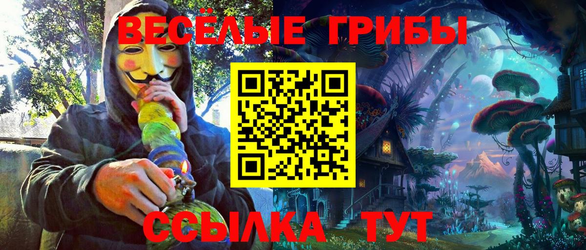 Псилоцибиновые грибы прущие грибы Шумерля