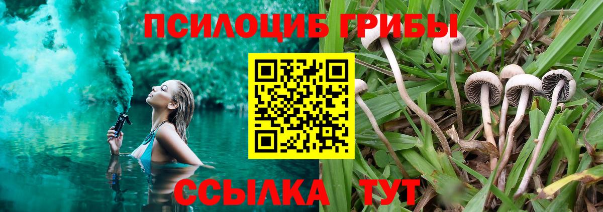 Галлюциногенные грибы Psilocybine cubensis  Вход с VPN  Псилоцибиновые грибы Psilocybe  Шумерля 