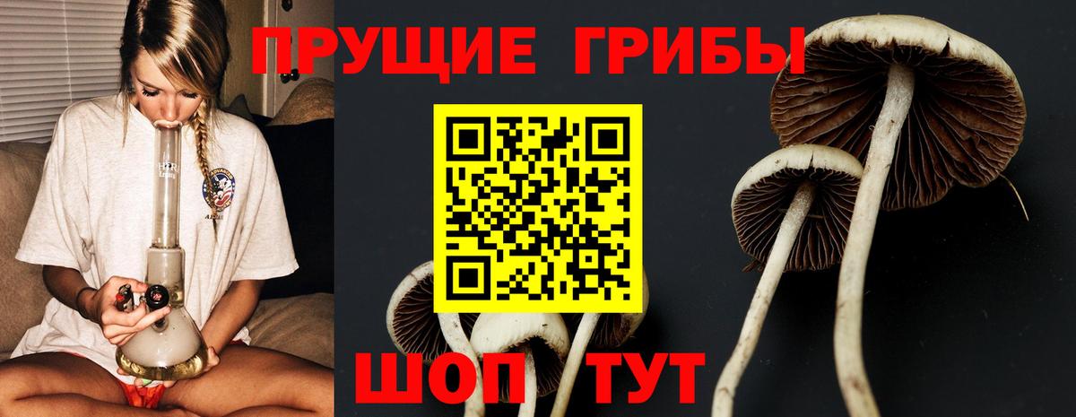 Псилоцибиновые грибы Psilocybine cubensis  Шумерля  Псилоцибиновые грибы мухоморы 